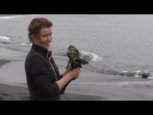 о.Уруп, бухта Новокурильская, 2.09.2021 Морская рыбалка