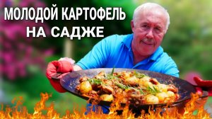 КУРИЦА с МОЛОДЫМ КАРТОФЕЛЕМ в ЯБЛОЧНОМ СОКЕ, в САДЖЕ на КОСТРЕ