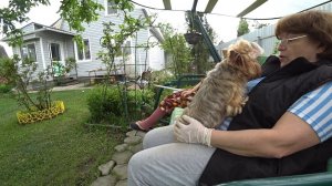 ВЛОГ Мама не хочет в Москву ! / Сколько этих кабачков надо ? / Борис балует 27 мая 2020 г.