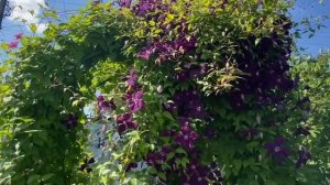 Пока родители не видят / Что купили / Что подарили Что изменилось 6-8 августа 2022 г.