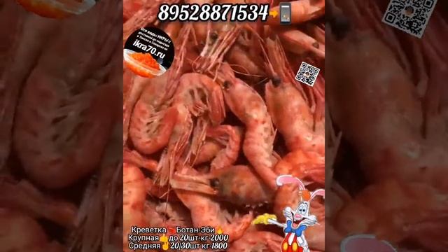 Креветка🍤🦐в Томске💒.еверске🏭! ikra70.ruКреветка🦐Ботан-Эби🔥. 89528871534