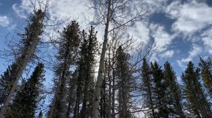 ТОНКИЙ МИР. Есть ли ЖИЗНЬ после смерти?! Факты, теории, догадки!