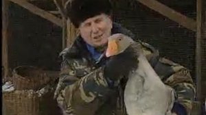 Небольшой сюжет о хозяйстве Николая Ивановича Золотухина