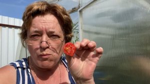 И у нас «пошли» томаты и огурцы / Гроза в Подмосковье / Руки чешутся что испечь 10 июля 2022 г.