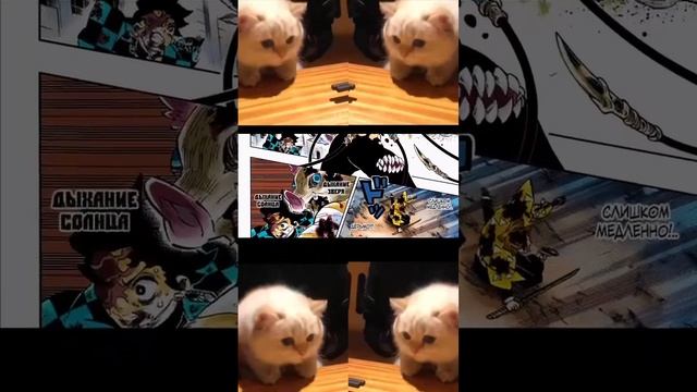 #tanjro #anime #hinokamitanjiro #demonslayer #mitsurikanjori #demonslayermitsuri #аниме #tanjirou смотреть онлайн