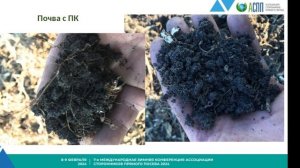 Сев в живые корни. Личный опыт сева почвопокровных культур.