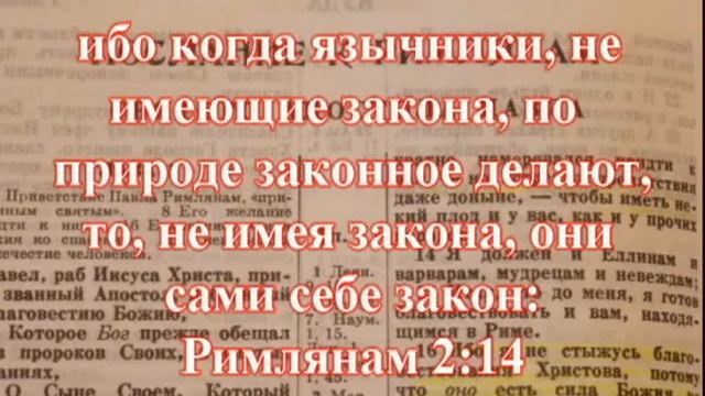 Разбор послания к Римлянам - урок №6
