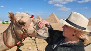 Каир. Египет. Фуд Африка