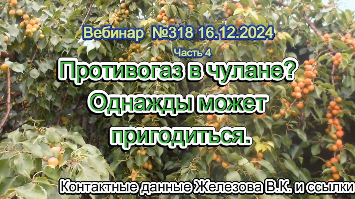 Железов Валерий. Вебинар 318. ч.4. Противогаз в чулане. Однажды может пригодиться.