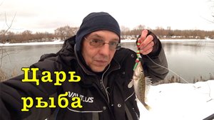 Сезон ЗИМНЕГО СПИННИНГА открыт.