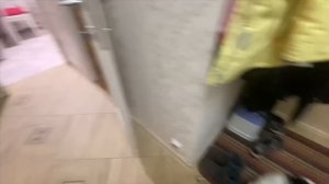 Станция музей / А мы без взрослых / Лучшее средство от пятен 25 ноября 2022 г.