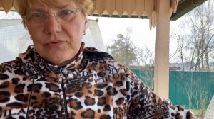 КАК КОШКА С СОБАКОЙ... / Любашка поделилась цветами / Корчуем розы 22 апреля 2021 г.