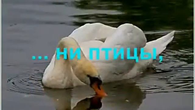 Вода   это здоровье!