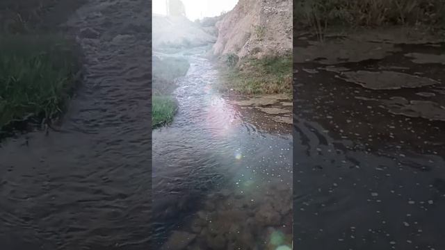 Наша жизнь состоит из маленьких мгновений счастья! Поймал это мгновение – и радуйся жизни! #природа