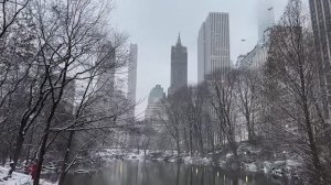 🇺🇸Нью-Йорк🗽☃️❄️ ： Прогулка ранним снежным утром в Центральном парке