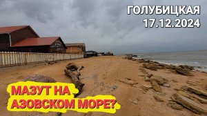 Срочные новости.. Мазут на Азовском море? #Голубицкая  17.12.2024