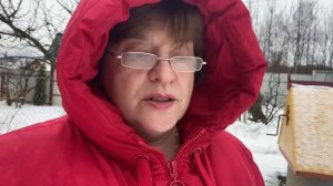 Новый жилец в беседке / Ледоходы Бориса / Весна в январе. январь 2021 г.