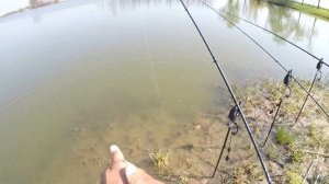 Рыбалка на ФЛЭТ МЕТОД ФИДЕР - Flat Method Feeder Fishing