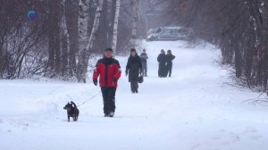 Карелию накрыло снегом