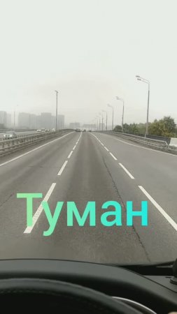 Туман 08.10.24