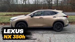 Lexus NX 350h 2024 года