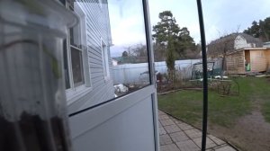 Смешная Женька / Замёрзло или нет ? / Вкусный ужин / Буду печь кулич 28 апреля 2021 г.