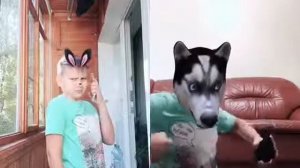 Ало это заяц?