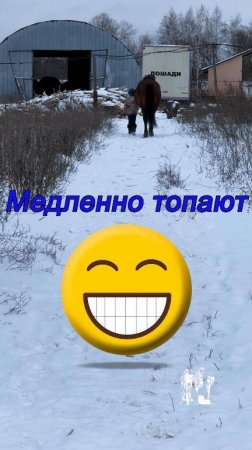 Закончили тренировку. Заводим лошадок