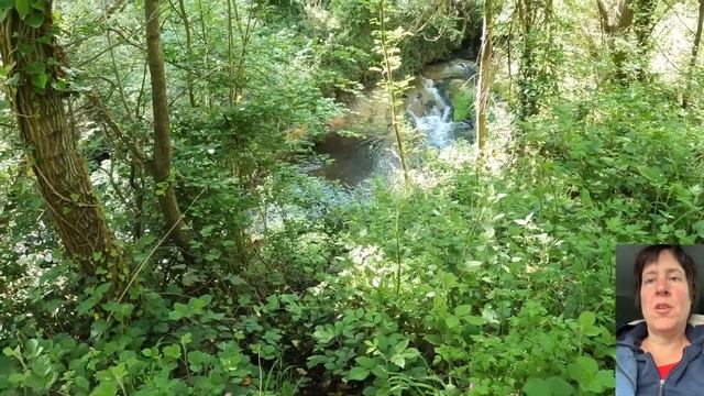 Пешеходный туризм и жизнь в моей машине во Франции параллельно Пути Святого Якова - Часть 5
