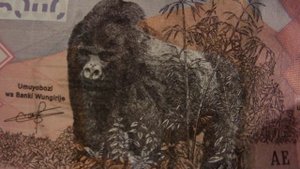 Коллекция банкнот Африки часть1 Banknotes of African countries part1