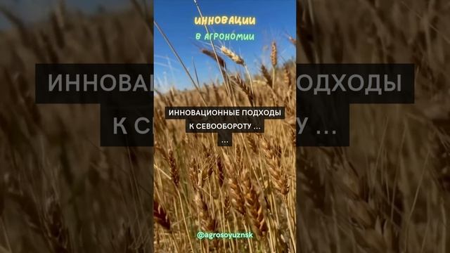 Инновационные подходы к севообороту ...