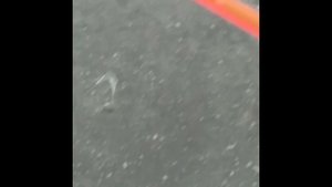 Ловим ротана на куринную кожу..