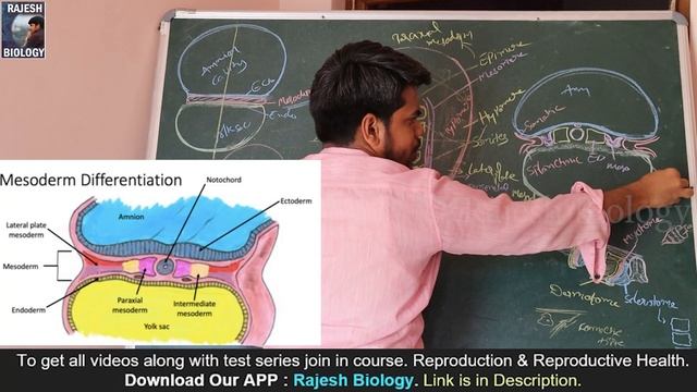 Mesoderm Differentiation |Coelom Formation | Human Reproduction | 2ndYear Zoology | Rajesh Biology