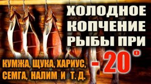 ХОЛОДНОЕ КОПЧЕНИЕ КРАСНОЙ РЫБЫ. Как коптить рыбу в лесу, зимой при - 20 гр.