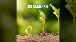 буть терпелив