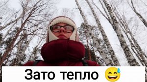 Новая Стрижка 16.12.24