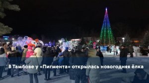 В Тамбове у «Пигмента» открылась новогодняя ёлка