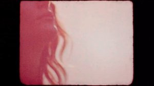 Диана Анкудинова. Солнце - рыжая лисица / Diana Ankudinova - The sun is a red fox.