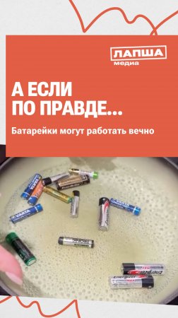 МОЖНО ЛИ «ПЕРЕЗАРЯДИТЬ» БАТАРЕЙКИ?| Разбор теории  #новости #факты #мифы