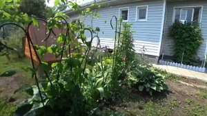 ВЛОГ Надувная кровать  / Тётя Маша / Патиссон из лайфхака / В Москву 8 июня 2019 г.