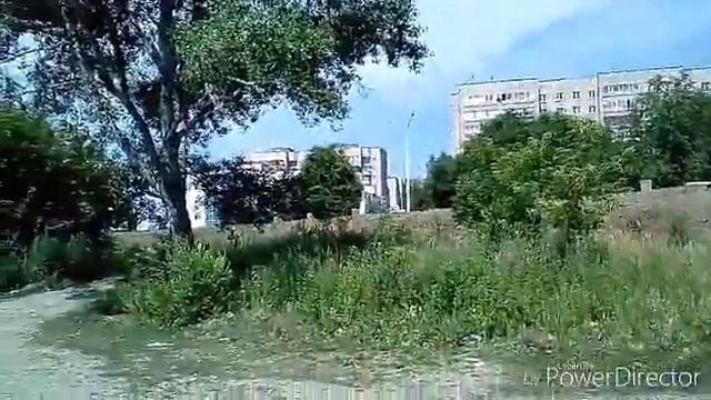 Уединяюсь с природой фотоохота на голубей