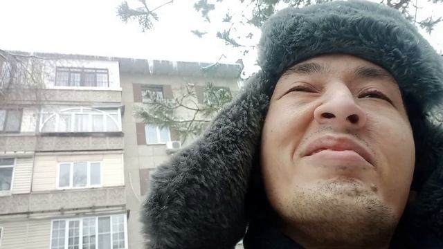 Что такое змея в окружении Мусин Алмат Жумабекович смотреть онлайн