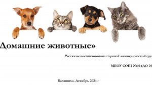 Рассказы о животных группа 31