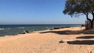 Голубицкая "Бархатный сезон"