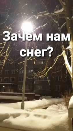 Зачем нам снег? Стихи Анна #пчелка