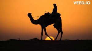 Arabian music ZwiReK - Arabian night