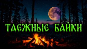 ТАЕЖНЫЕ РАССКАЗЫ! 3 БАЙКИ У КОСТРА! СТРАШНЫЕ ИСТОРИИ НА НОЧЬ