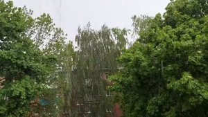 Вот и пришло долгожданное лето.Игривое...