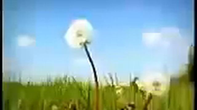 Мультфильм про божью коровку смотреть онлайн