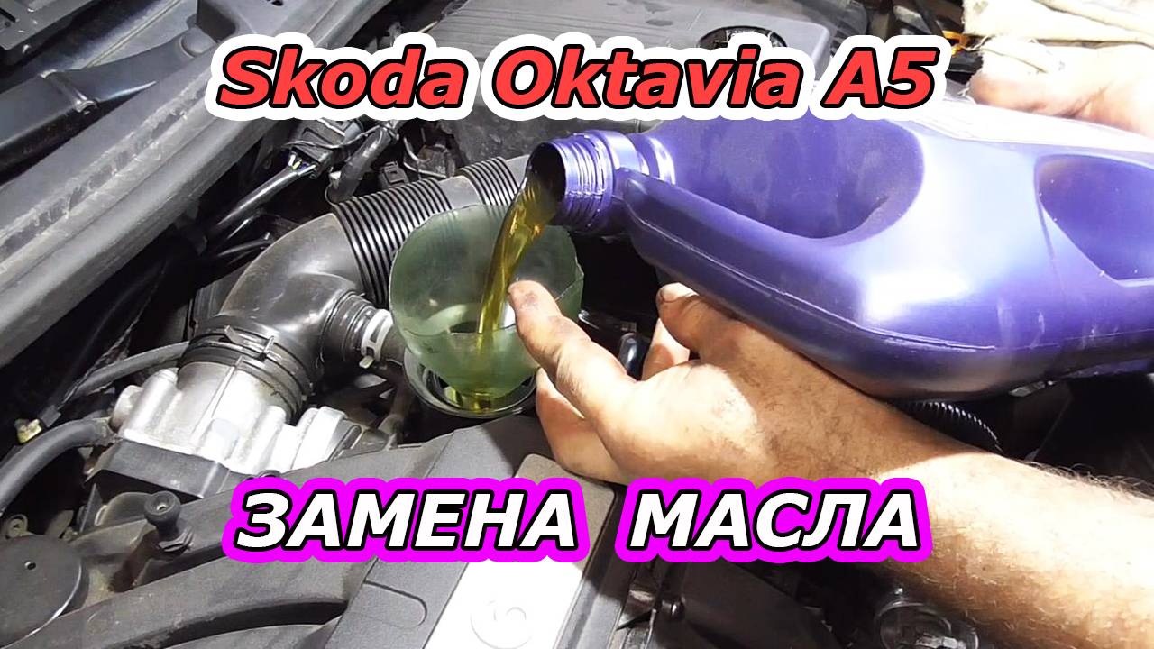 Обслуживание Skoda Octavia A5  | Замена моторного масла